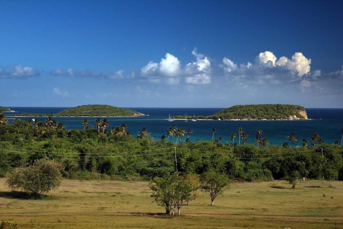 Hacienda Tamarindo Hotell Vieques Eksteriør bilde